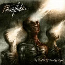 Ebonylake : In Swathes of Brooding Light